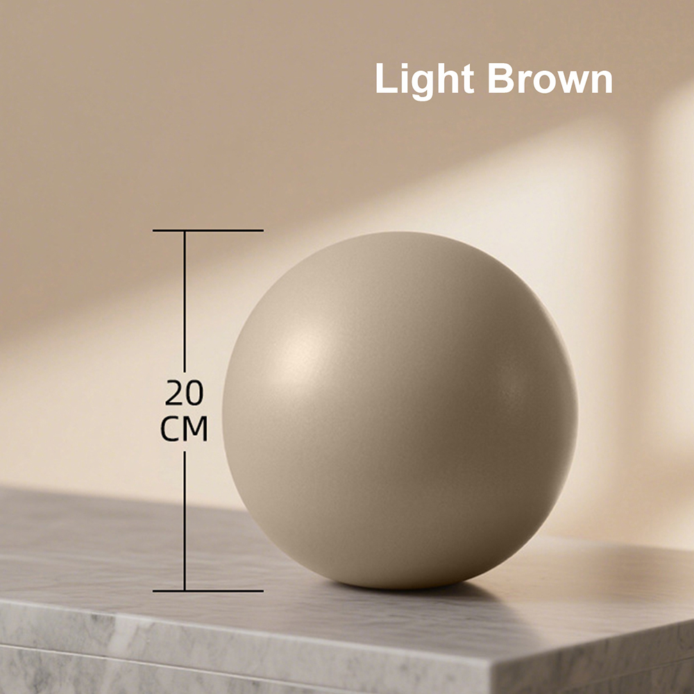 20cm Matte Exercise Ball Barre - Pilates Yoga Ball Workout ulasan dan harga